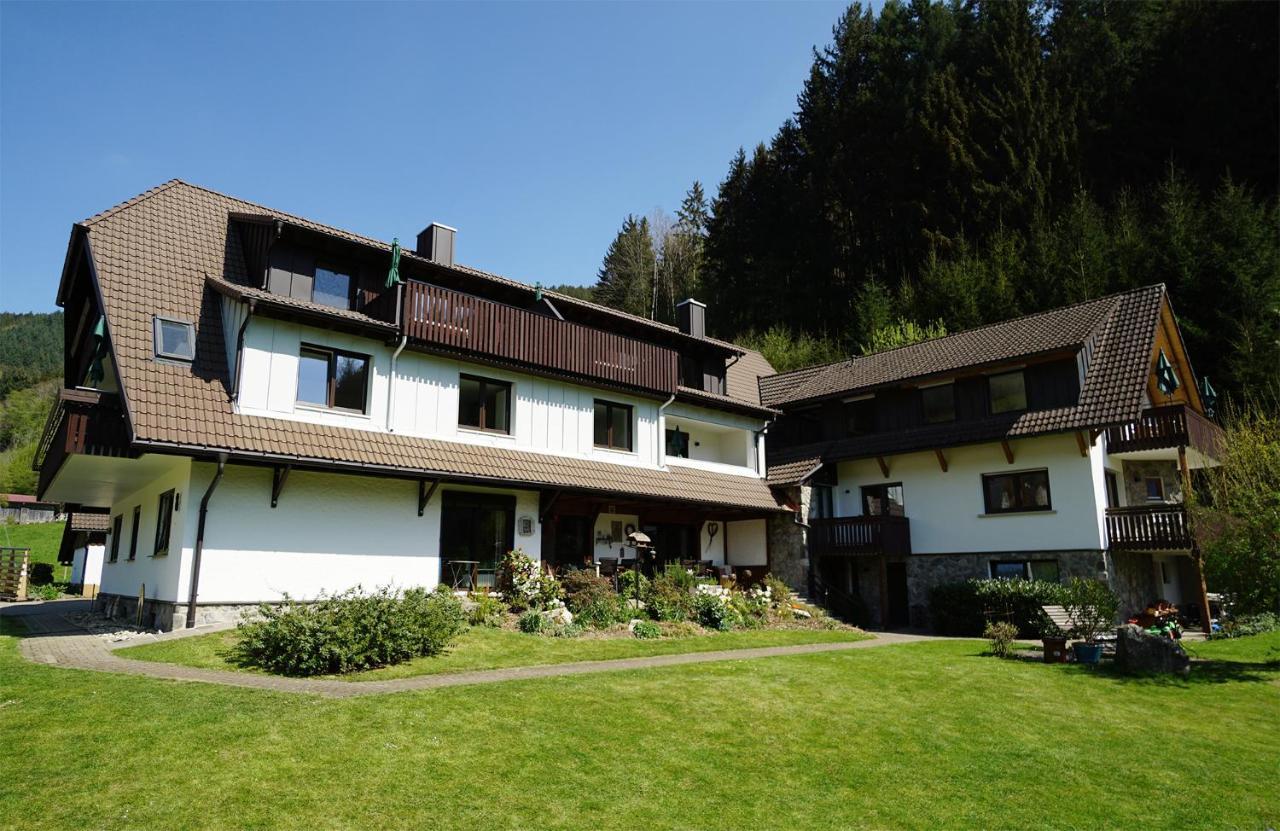 Hoellkopf - Stubenhof, Black Forest Зимонсвальд Экстерьер фото